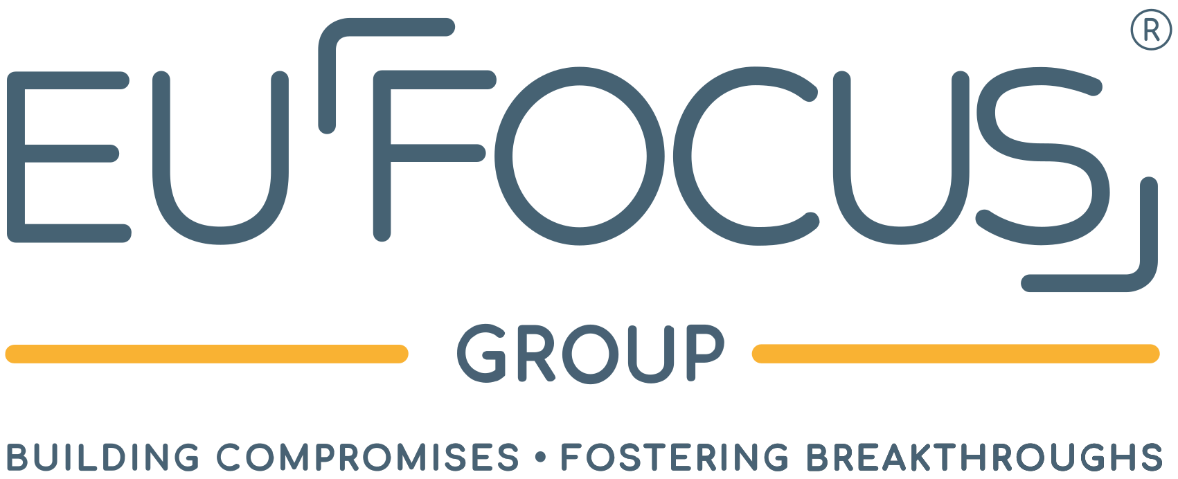 Logo officiel de EU Focus Group